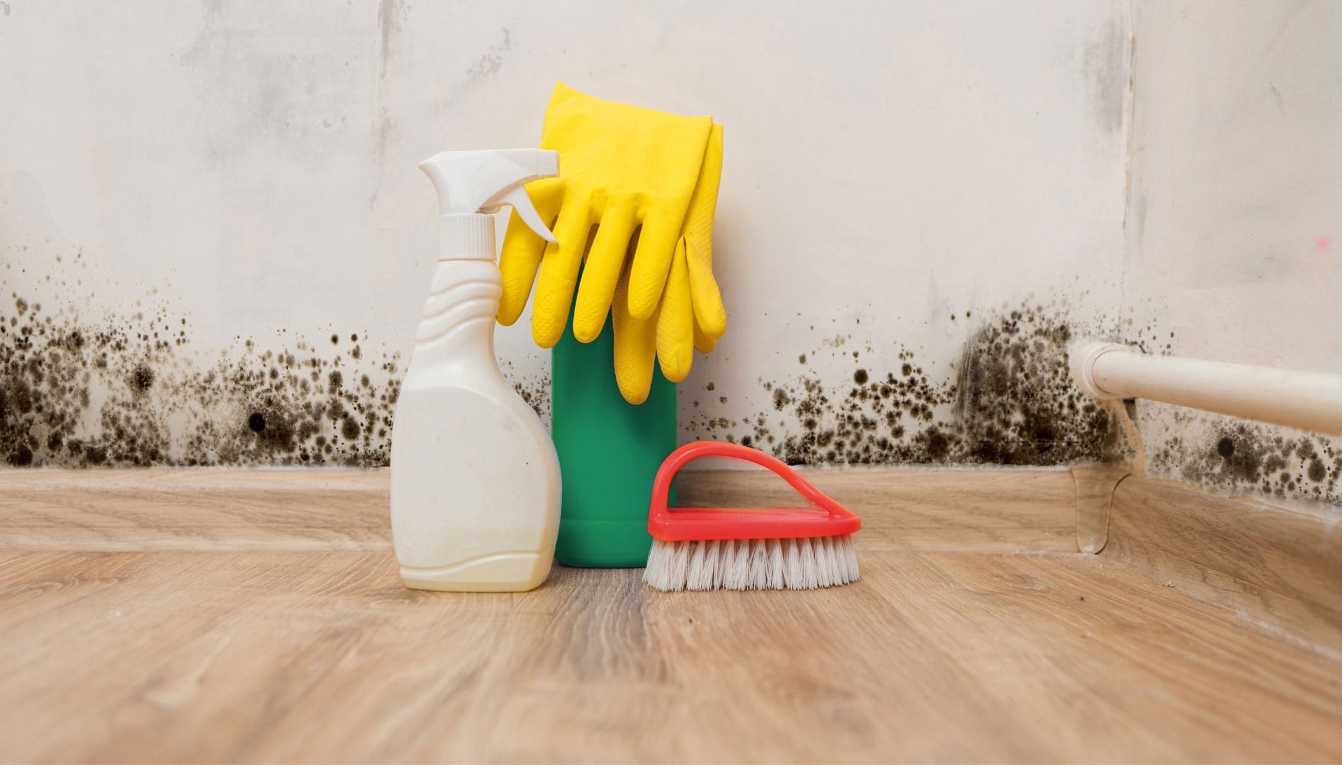 Know About Mold Removal In Oklahoma City