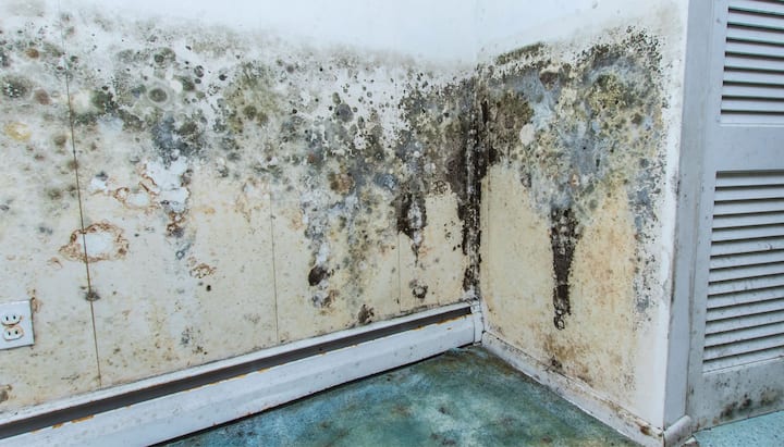 Mold Damage Odor Control Services in Oklahoma City